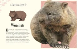 Wundervolle Welt der Natur*Dorling Kindersley Verlag