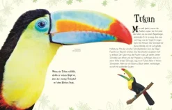 Wundervolle Welt der Tiere*Dorling Kindersley Verlag Clearance