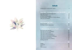 Yoga Nidra - die Kunst der tiefen Entspannung*riva Verlag Sale