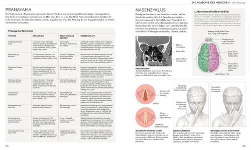 Dorling Kindersley Verlag Ratgeber|Self Care*Yoga verstehen - Die Anatomie der Yoga-Haltungen