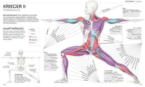 Dorling Kindersley Verlag Ratgeber|Self Care*Yoga verstehen - Die Anatomie der Yoga-Haltungen
