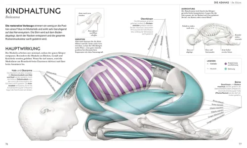 Dorling Kindersley Verlag Ratgeber|Self Care*Yoga verstehen - Die Anatomie der Yoga-Haltungen