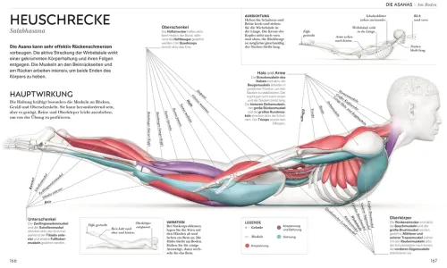 Dorling Kindersley Verlag Ratgeber|Self Care*Yoga verstehen - Die Anatomie der Yoga-Haltungen