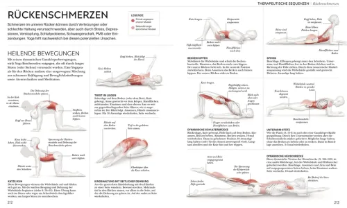 Dorling Kindersley Verlag Ratgeber|Self Care*Yoga verstehen - Die Anatomie der Yoga-Haltungen