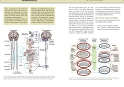riva Verlag Self Care*Yoga-Anatomie