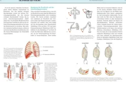 riva Verlag Self Care*Yoga-Anatomie