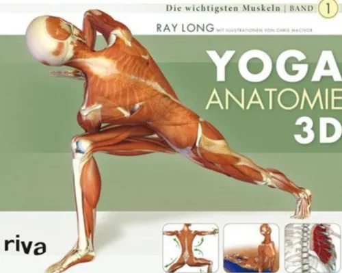 riva Verlag Self Care-Yoga-Anatomie 3D