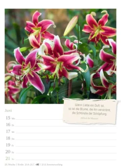 Zauberhafte Gärten Wochenkalender 2026 - mit Zitaten*Harenberg New