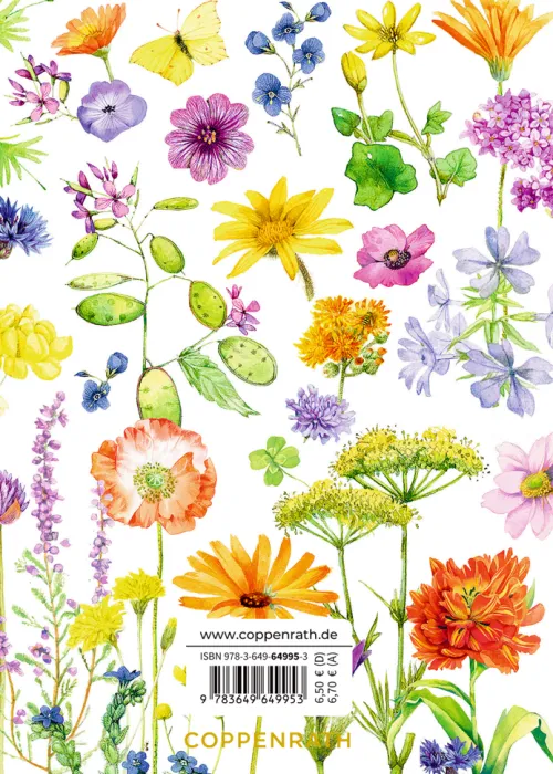 Zum Geburtstag alles Gute*Coppenrath Best