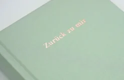 Rowohlt Taschenbuch Ratgeber|Gesellschaft-Zurück zu mir