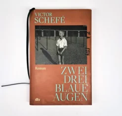 dtv Verlagsgesellschaft Lgbtqia+*Zwei, drei blaue Augen